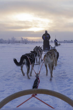 Romantik im Huskyschlitten
