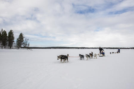 Schlittenfahrt mit Huskys