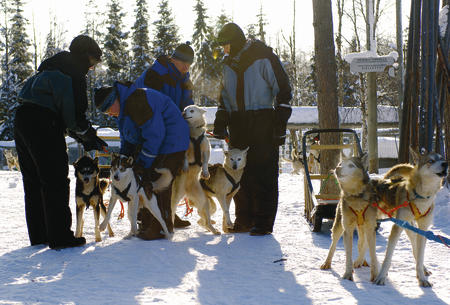 Huskybegegnungen