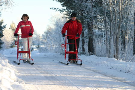 Tretschlitten in Inari