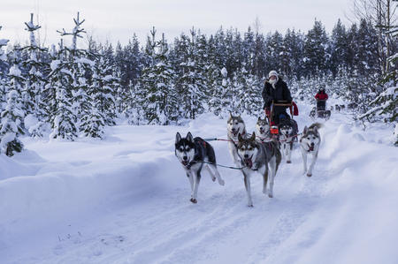 Huskytour durch die Winterlandschaft (c) Klaus-Peter Kappest