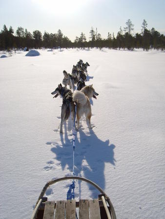 Mit dem Huskyschlitten geht es teils durch unberührte Natur