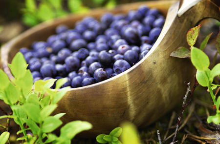 Frische finnische Beeren (c) Visit Finland