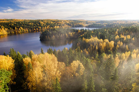 Aulanko Naturreservat in Hämeenlinna im Herbst (c) Teemu Tretjako